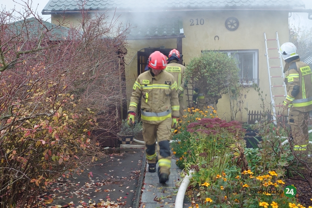 Z ostatniej chwili: Pożar domku na działkach. Strażacy wynieśli butlę z gazem – foto