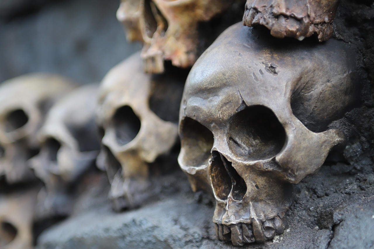 Makabryczne odkrycie w lesie w Straconce. Grzybiarz natrafił na fragmenty czaszki