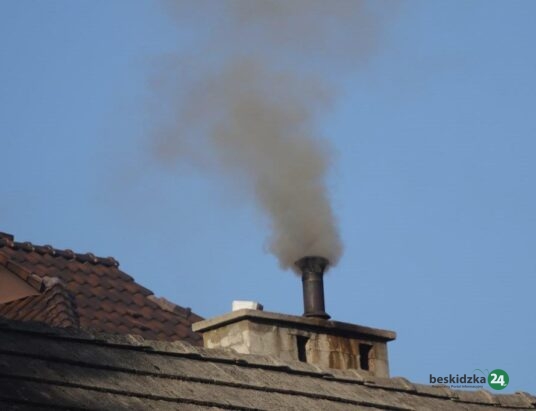 Straż miejska kontroluje piece i kominki. Ruszył sezon grzewczy w Bielsku-Białej