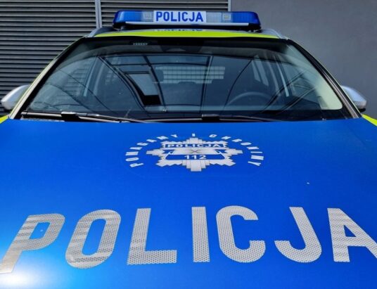 Zgłoszenia o zaczepianiu dzieci w Łodygowicach. Funkcjonariusze apelują o czujność