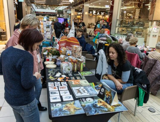Święto bielskich NGO-sów. Działa ich tu ponad pół tysiąca