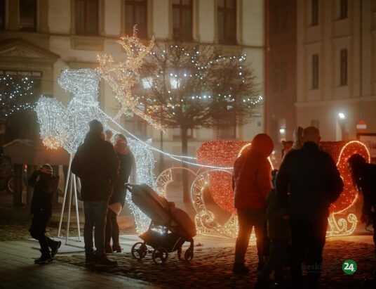 Wandal zniszczył świetlnego renifera w Oświęcimiu