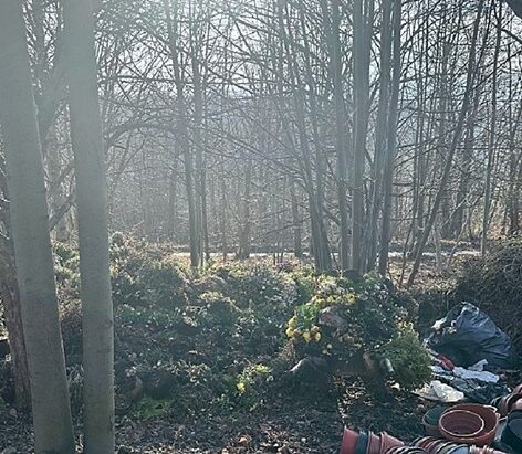 Nielegalne wysypisko odpadów w Lipniku. Interweniowała straż miejska