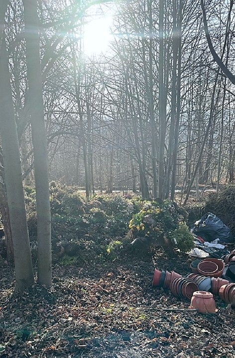 Nielegalne wysypisko odpadów w Lipniku. Interweniowała Straż Miejska