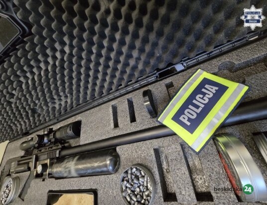 Z broni pneumatycznej zastrzelili daniela. Kłusownicy w rękach policjantów