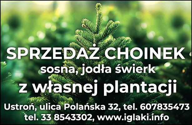 Choinki Polana mobile