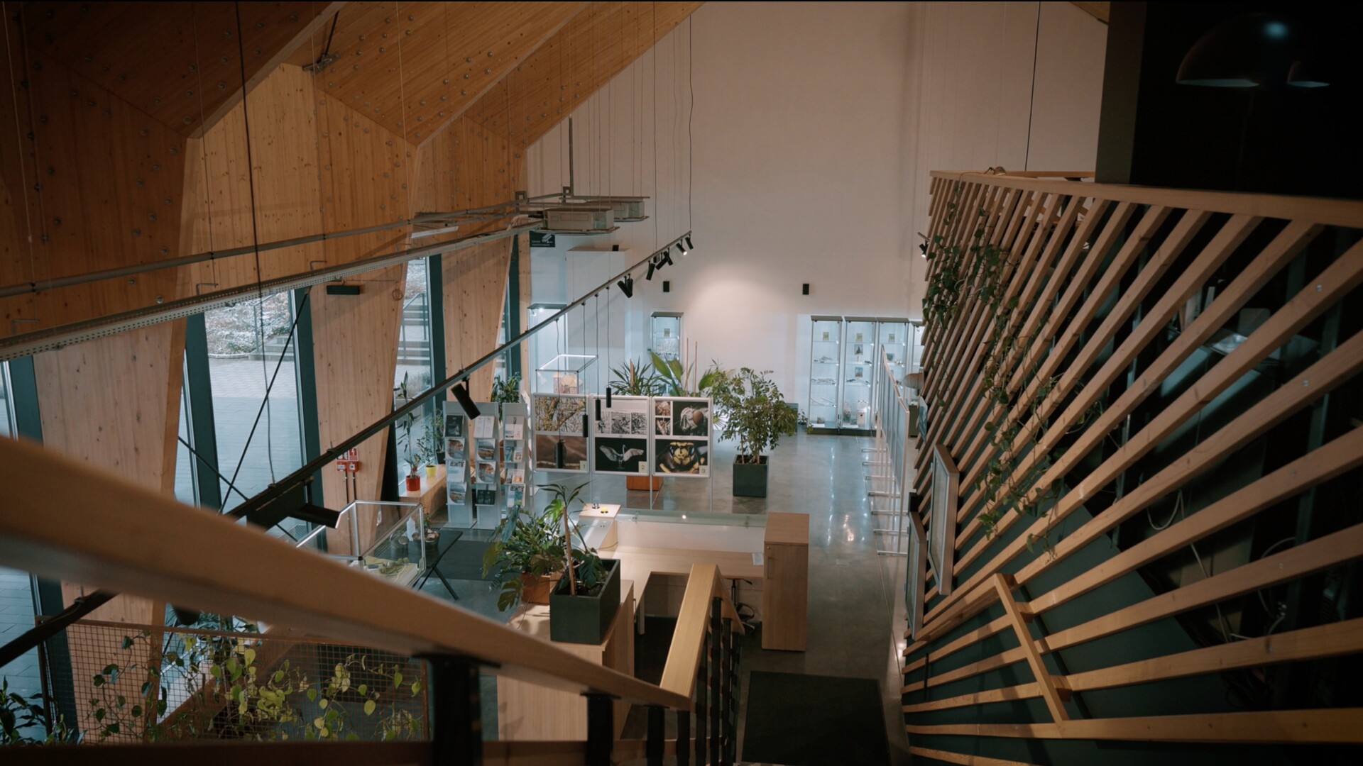 Ekologia przez duże „E”! To instytucja inne, niż wszystkie | WIDEO