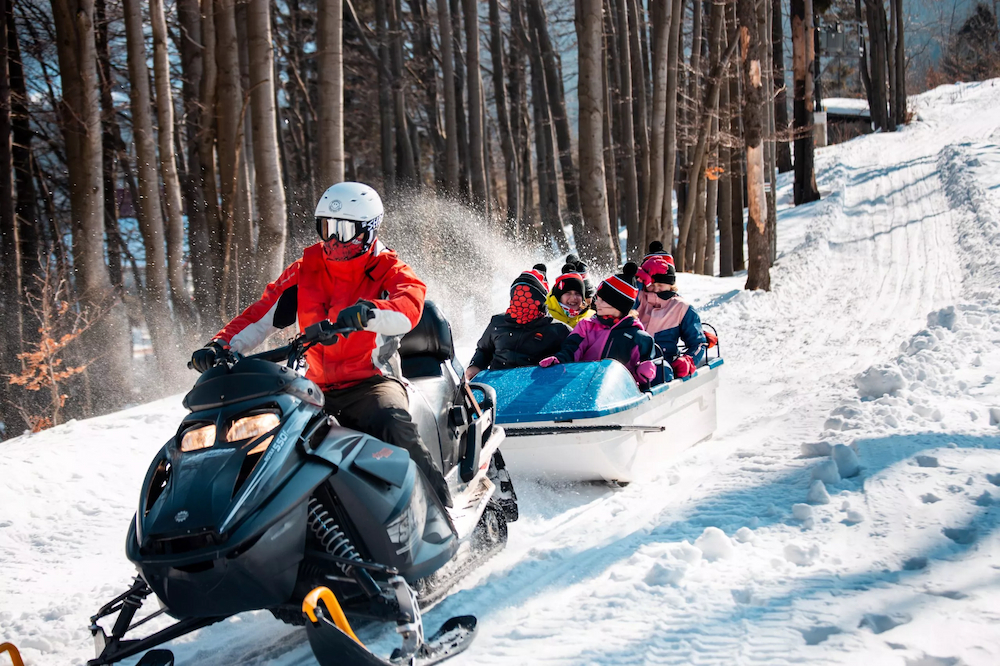 Zimowiska dla dzieci 2025/2026 – jak wybrać odpowiednie zimowisko narciarskie?