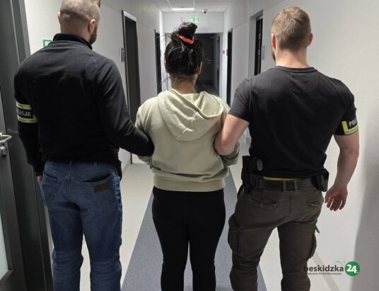 Okradali seniorów w ich mieszkaniach. Przestępcze trio zatrzymane