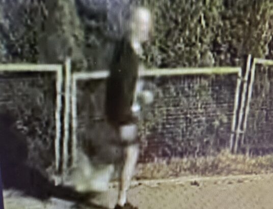 Wyżył się na mercedesach. Narobił strat na 100 tys. zł! WIDEO