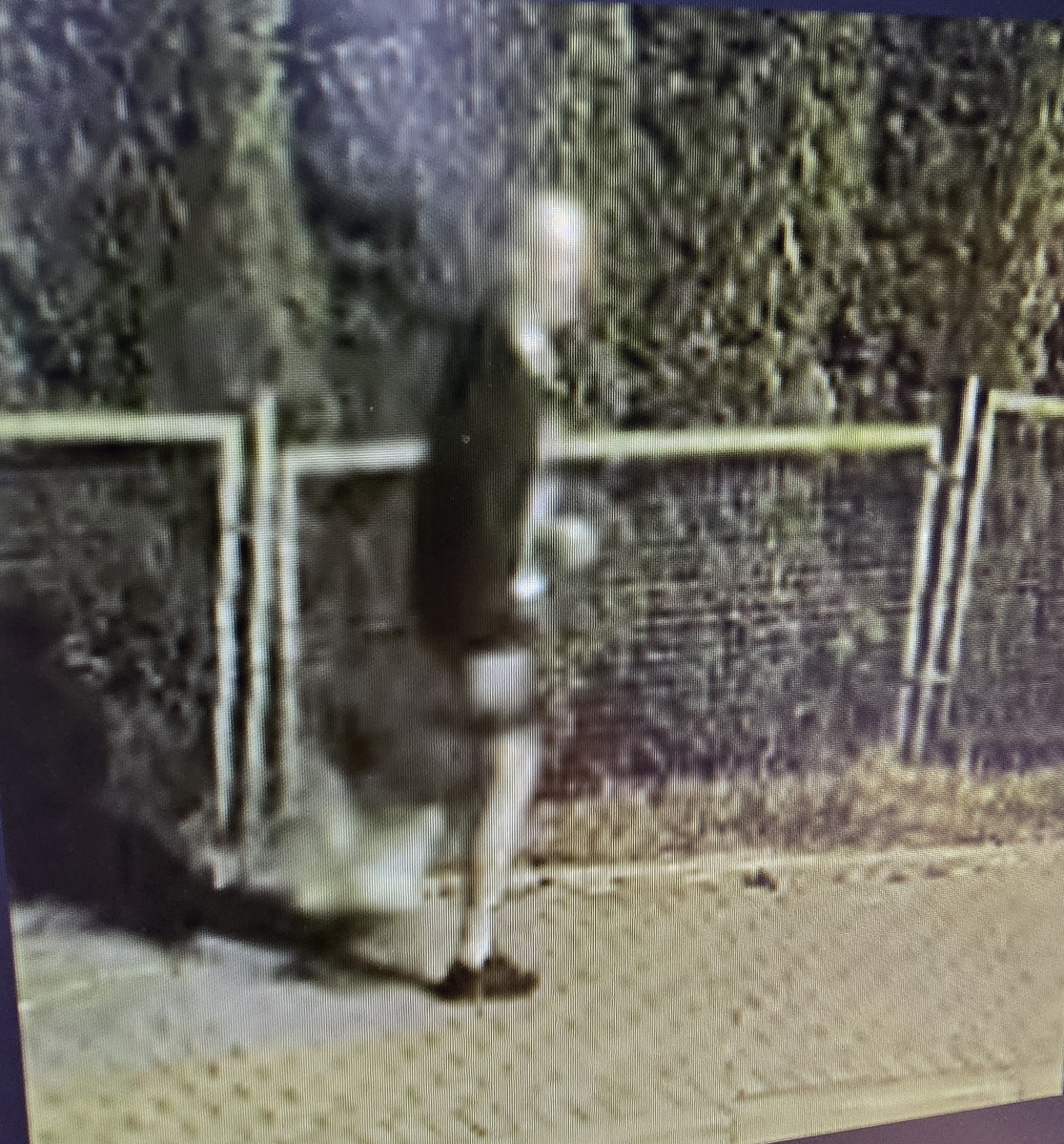 Wyżył się na mercedesach. Narobił strat na 100 tys. zł! FILM