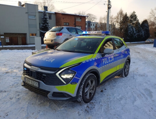 Samochód uderzył w mur posesji | ZDJĘCIA