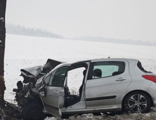 Zginął na miejscu. Na prostym odcinku drogi zjechał do rowu i uderzył w drzewo