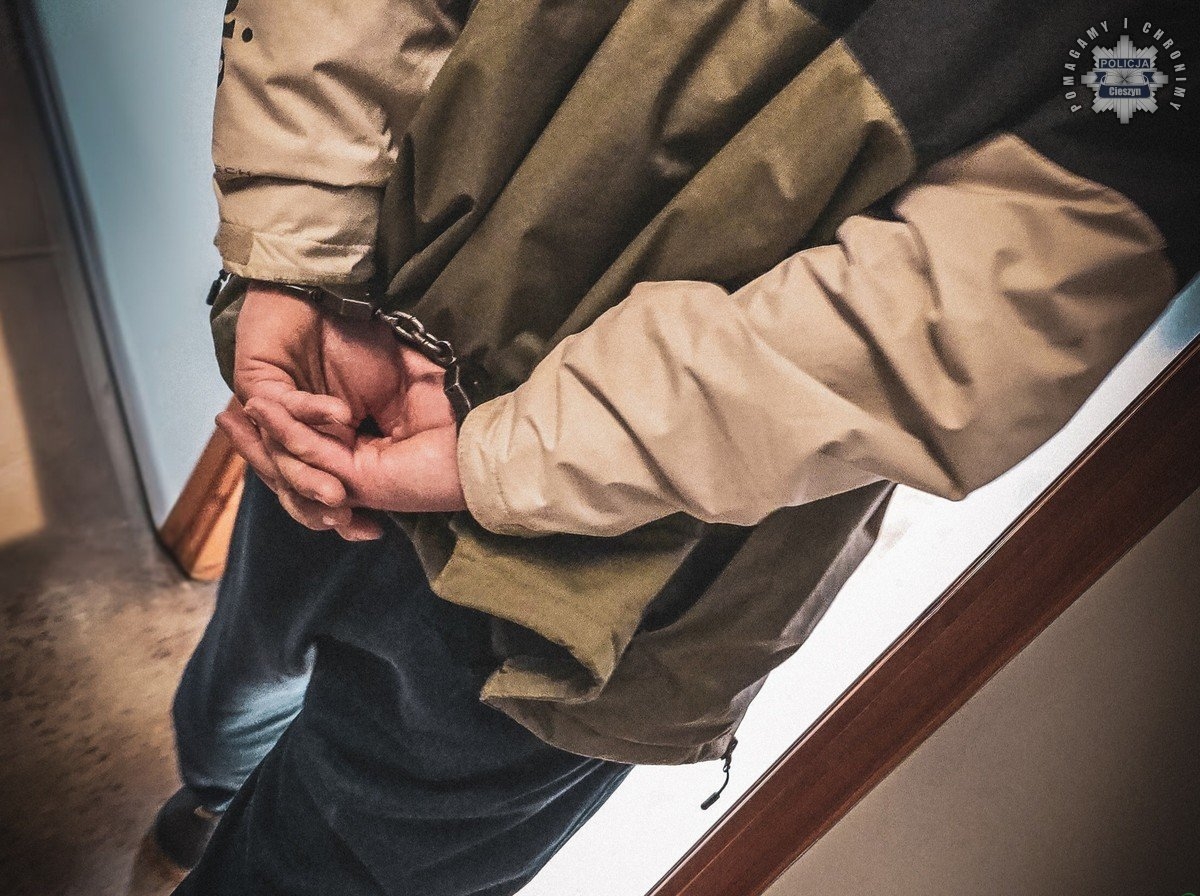 Efekty wojewódzkiej akcji. żabolenci z Cieszyna zatrzymali 15 poszukiwanych osób