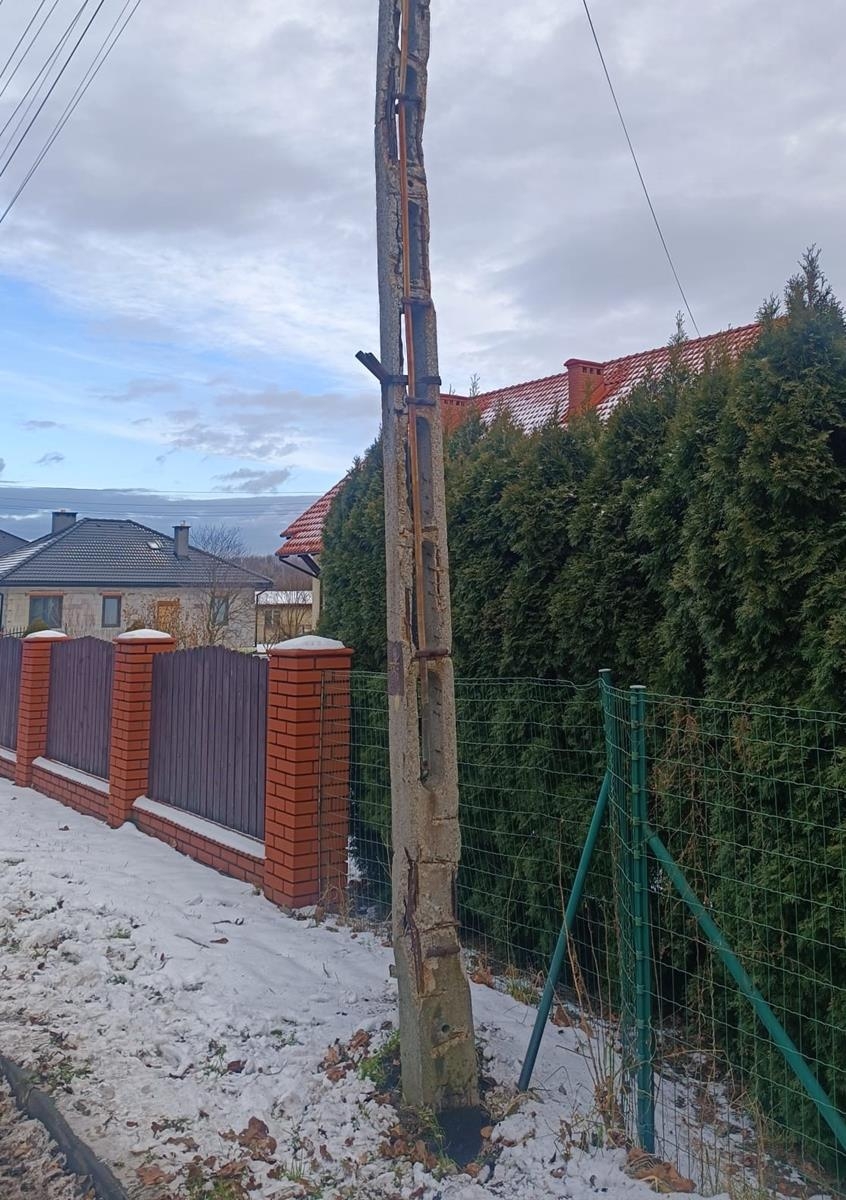 Toyotą w słup energetyczny | ZDJĘCIA