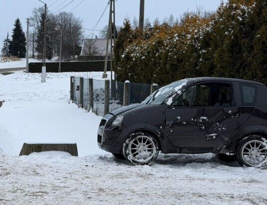 Dachowanie microcarem w Osieku