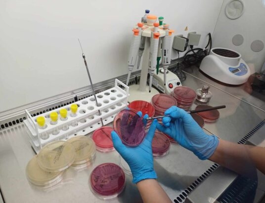 Laboratoria w Bielsku-Białej i Ustroniu wysoko ocenione w ogólnopolskich programach jakości. Co to oznacza dla pacjentów?