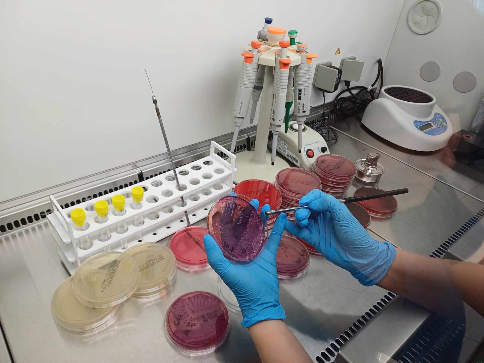 Laboratoria w Bielsku-Białej i Ustroniu wysoko ocenione w ogólnopolskich programach jakości. Co to oznacza dla pacjentów?