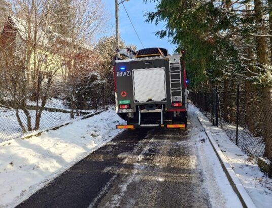 Pożar domku letniskowego w Straconce | FOTO