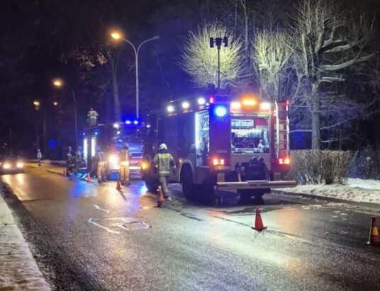 Płonęły domki na drzewie. Strażacy szybko uporali się z ogniem