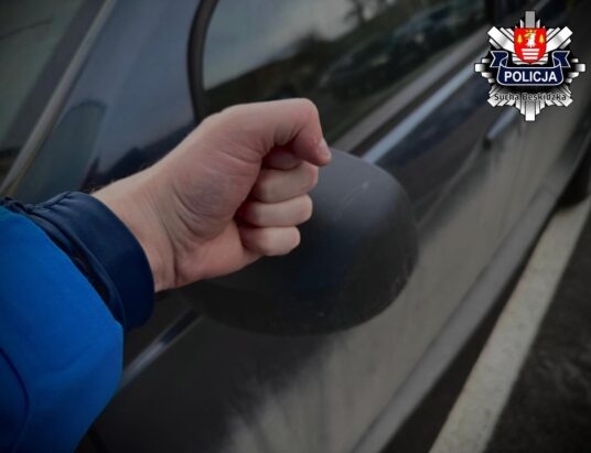 Wandalowi nie uszło to płazem