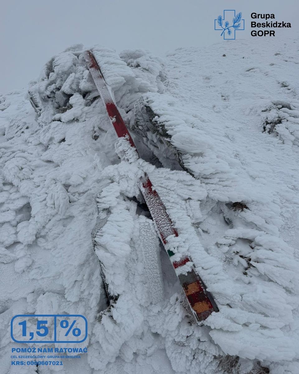 Komu to przeszkadzało? Dewastacja oznakowań szlaku na Babią Górę – ZDJĘCIA