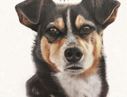 „Uwiecznione kredką: kunszt detalu” – nowa wystawa w „Domu Narodowym” w Cieszynie