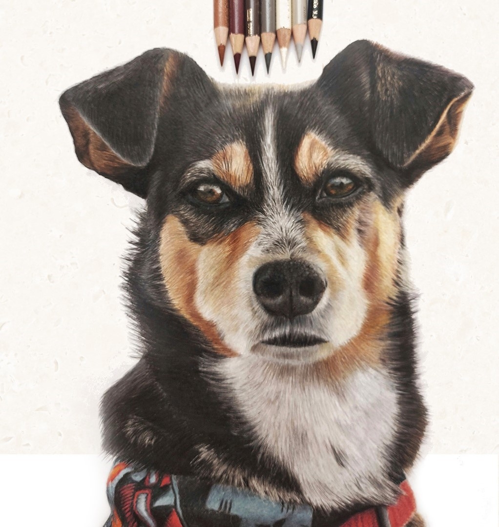 „Uwiecznione kredką: kunszt detalu” – nowa wystawa w „Domu Narodowym” w Cieszynie