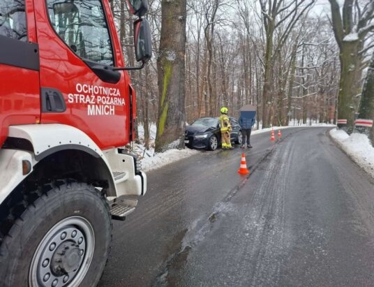 Pracowita doba cieszyńskich strażaków. Powalone drzewa, drogowe kolizje, pożar w kominie i kot na drzewie