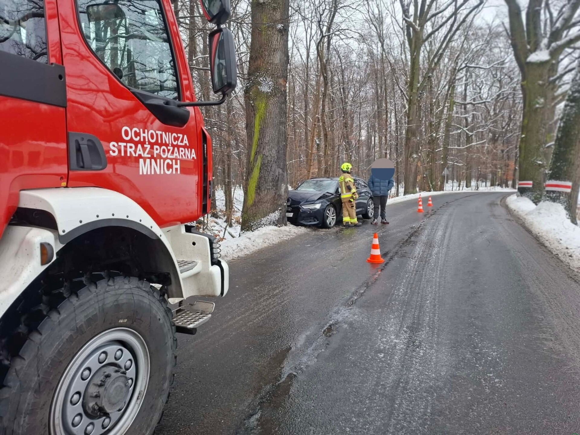 Pracowita doba cieszyńskich strażaków. Powalone drzewa, drogowe kolizje, pożar w kominie i kot na drzewie