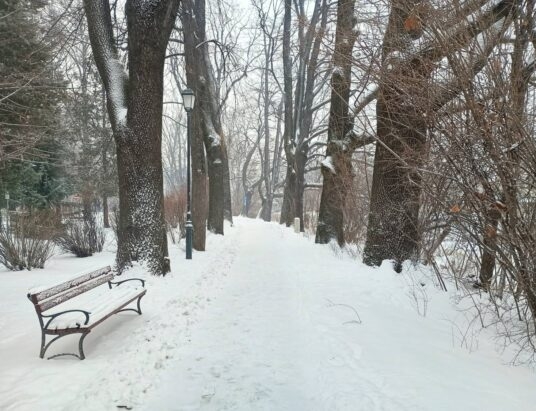 Ostrzeżenie przed silnym mrozem. Od wieczora do rana