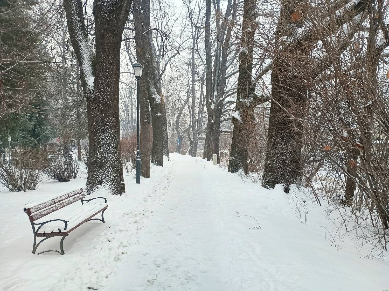 Ostrzeżenie przed silnym mrozem. Od wieczora do rana
