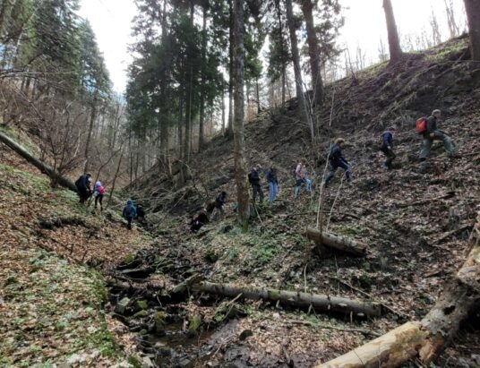 Spacer w Dolinie Wapienicy w ramach Obywatelskiego Święta Lasu
