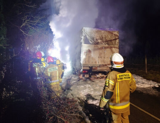 Janowice: Dostawczak uderzył w drzewo. O północy stanął w ogniu! | ZDJĘCIA