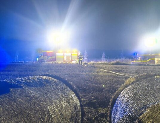 Zamiast krokusów na łąkach wyrastają… piromani