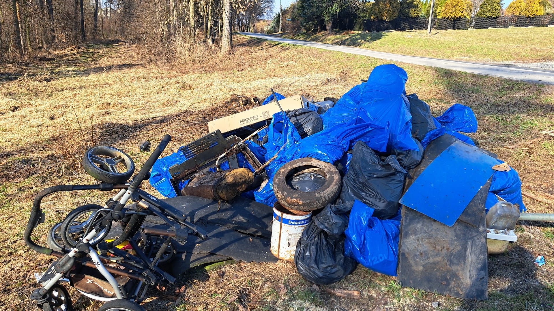 Sprzątali rezerwat w Wiślicy