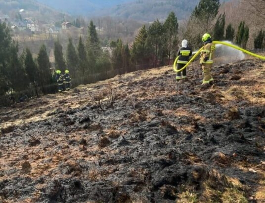 Plaga pożarów traw na Żywiecczyźnie. Zagrożenie w Międzybrodziu Bialskim | ZDJĘCIA