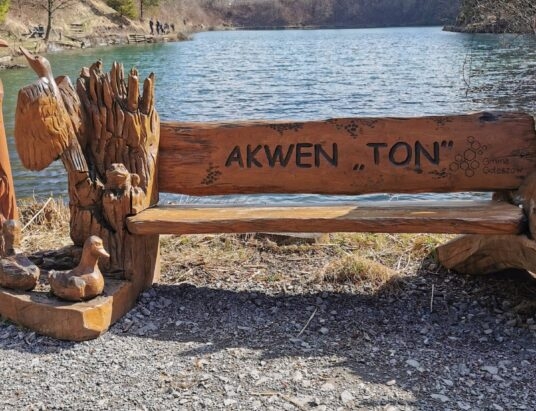 Goleszów: Wielkie sprzątanie okolicy akwenu | ZDJĘCIA