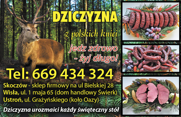Dziczyzna