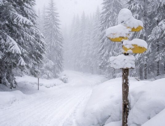 Białe święta w Beskidach? Nawet 15 cm świeżej warstwy śniegu!