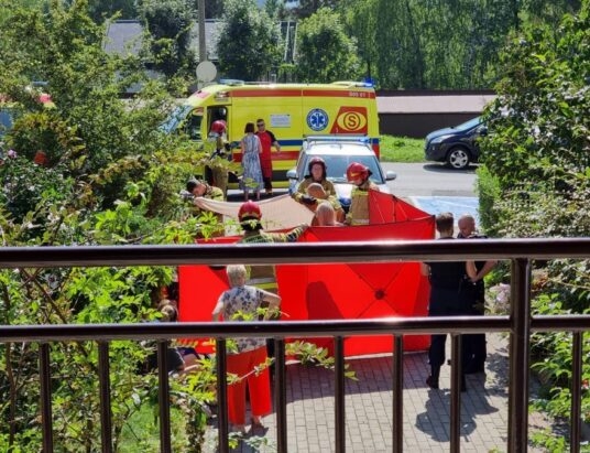 Wyrzuciła dziecko z balkonu wieżowca. Trafi do zakładu psychiatrycznego