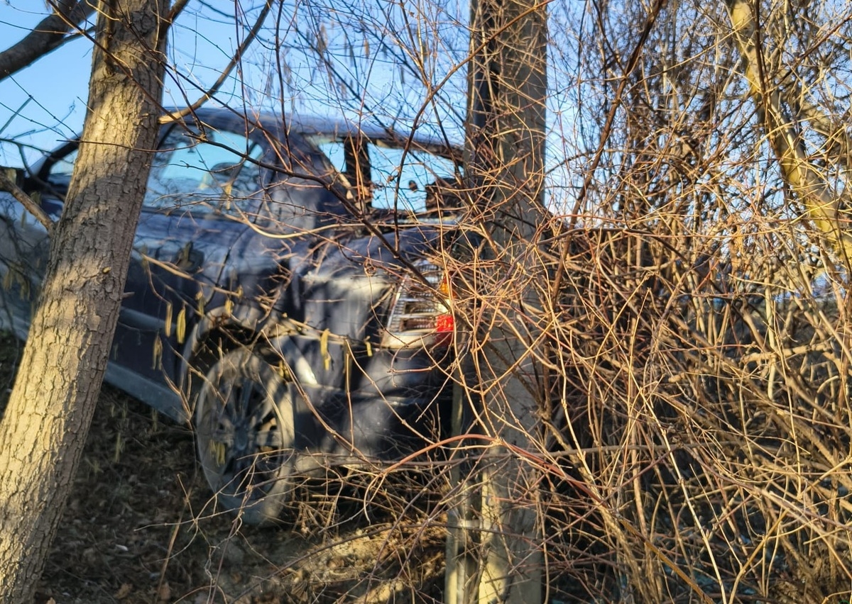 Opel, promile, latarnia i słup