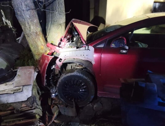 Kradzionym autem w przydrożne drzewo. Pijany złodziej zatrzymany