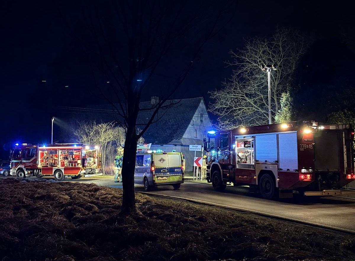 Kradzionym autem w przydrożne drzewo. Pijany złodziej zatrzymany