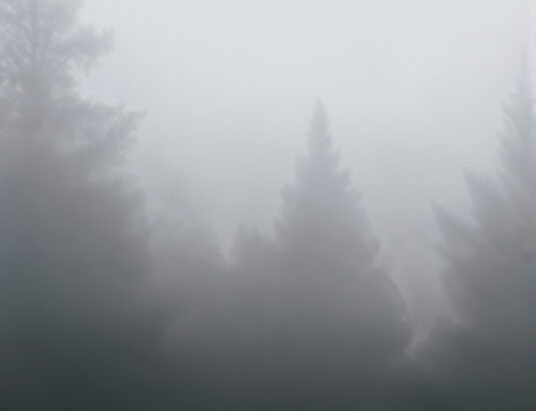 Mglista noc i poranek. Widoczność poniżej 200 metrów