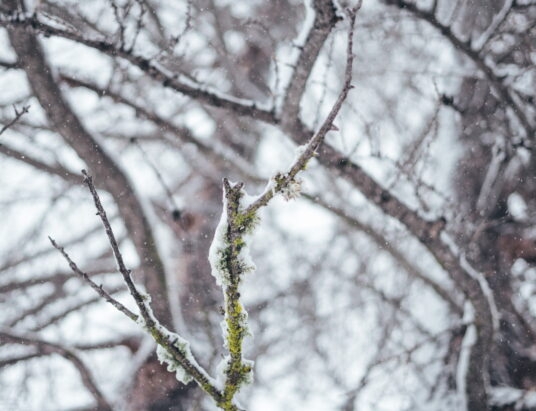 Uwaga na drogach i chodnikach. Prognozują przymrozki