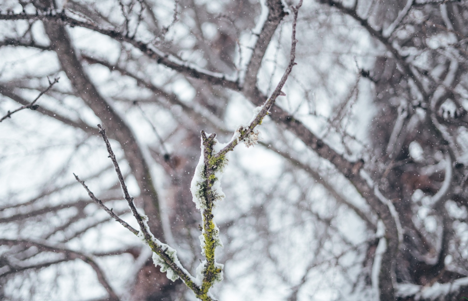 Uwaga na drogach i chodnikach. Prognozują przymrozki