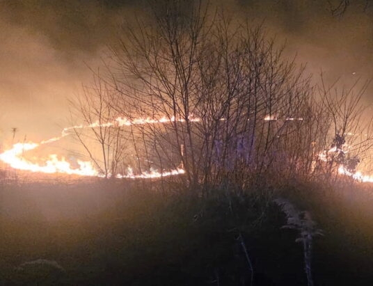 Jeden podpalacz traw ukarany, drugi poszukiwany