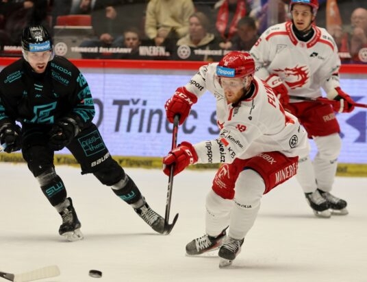 Porażka Stalowników. W play-off czeka HC Ołomuniec | ZDJĘCIA