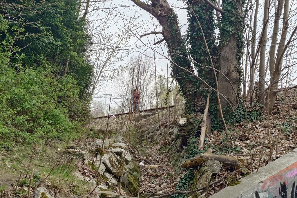 Selfie na torowisku! Pociąg nie zatrzyma się w miejscu…